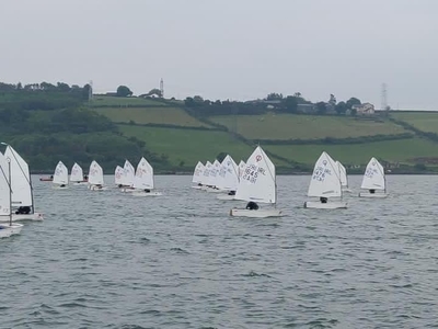 HYC Juniors on the boards at Optimist Ulster Championships