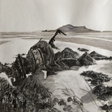 6._The_Dragon_-_The_Wreck_of_the_Emile-Therese_Yuon_by_Trish_Nixon._Ink___Pencil._Price_€400.jpg